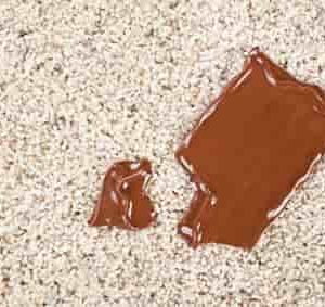 Protect Your Carpet From Stains!